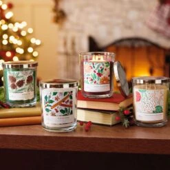 Hallmark Merry Cranberry 3-Wick Jar Candle, 16 Oz.