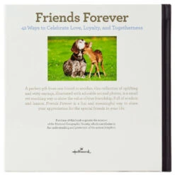 Hallmark Friends Forever: 42 Ways To Celebrate Love, Loyalty And Togetherness Book -Hallmark Shop 0001BOK1438 3
