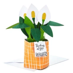 Hallmark Peace Lily Love You 3D Pop-Up Thinking Of You Card