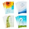 Hallmark Nature Images Assorted Thinking Of You Cards, Pack Of 12