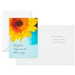 Hallmark Nature Images Assorted Thinking Of You Cards, Pack Of 12 -Hallmark Shop Nature Images Thinking of You Cards Assortment 1EDX3861 02