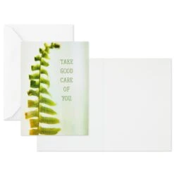 Hallmark Nature Images Assorted Thinking Of You Cards, Pack Of 12 -Hallmark Shop Nature Images Thinking of You Cards Assortment 1EDX3861 04