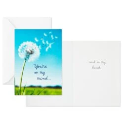 Hallmark Nature Images Assorted Thinking Of You Cards, Pack Of 12 -Hallmark Shop Nature Images Thinking of You Cards Assortment 1EDX3861 05